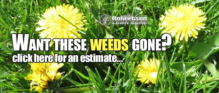 Want These Weeds Gone?